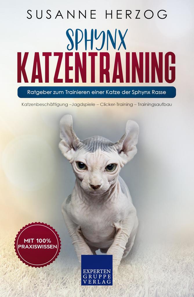Sphynx Katzentraining - Ratgeber zum Trainieren einer Katze der Sphynx Rasse