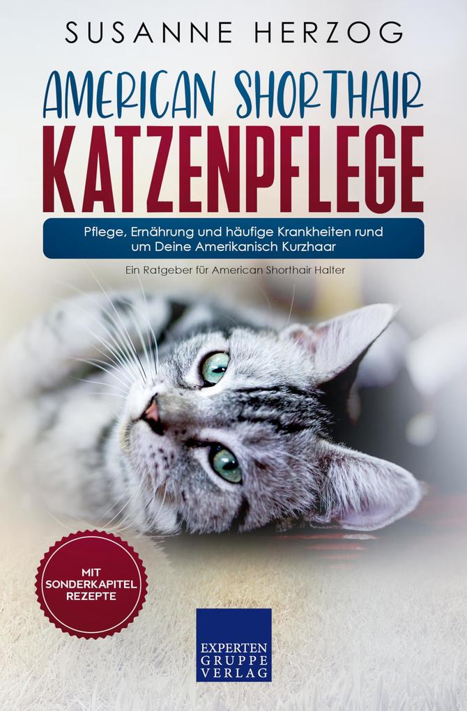 American Shorthair Katzenpflege - Pflege Ernährung und häufige Krankheiten rund um Deine Amerikanisch Kurzhaar