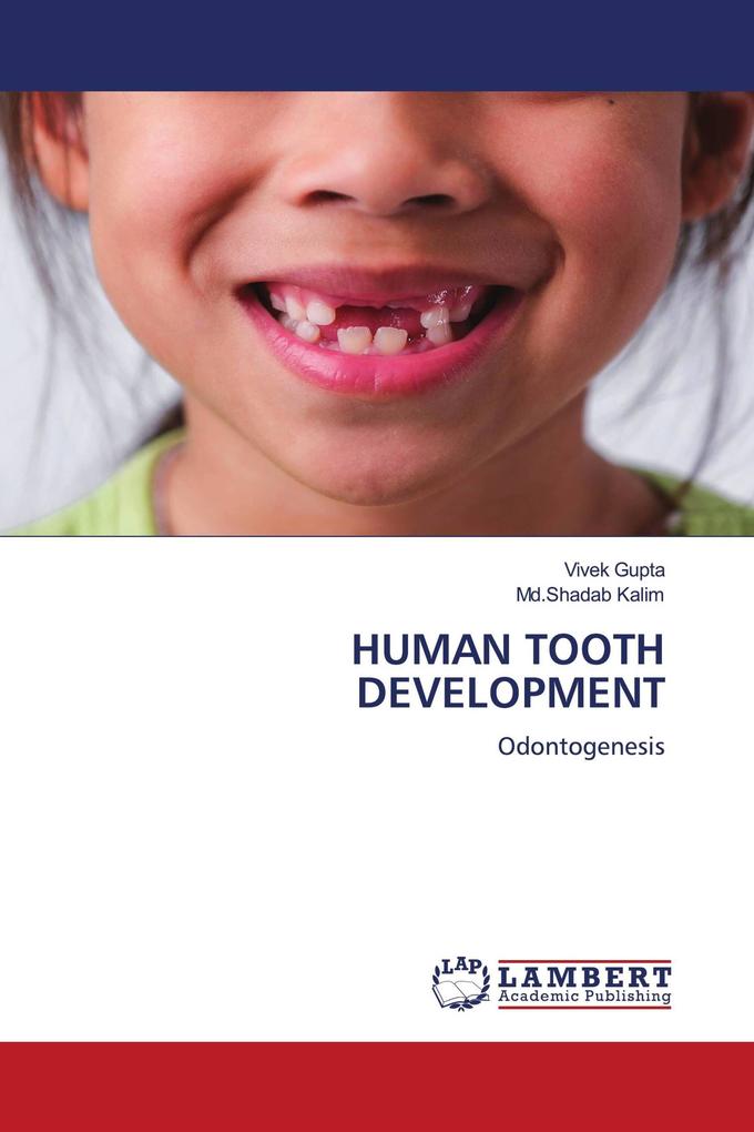 HUMAN TOOTH DEVELOPMENT
