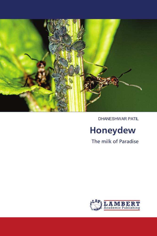 Honeydew