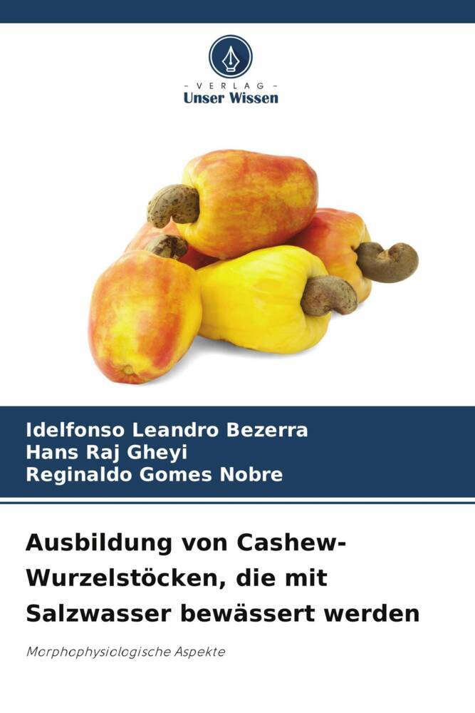 Ausbildung von Cashew-Wurzelstöcken die mit Salzwasser bewässert werden
