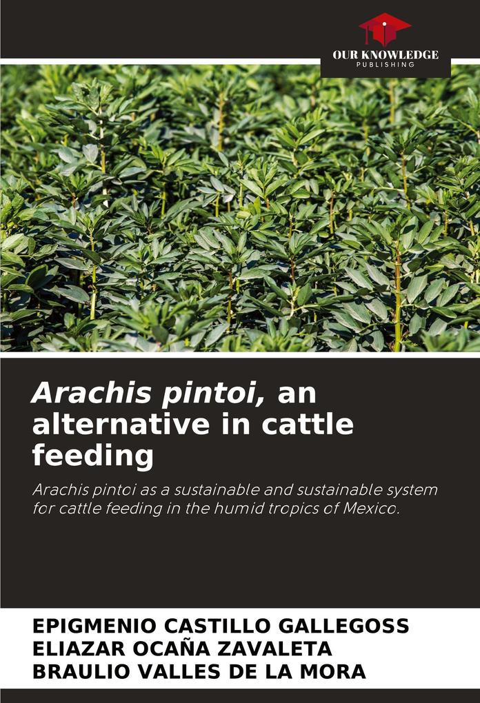 Arachis pintoi an alternative in cattle feeding