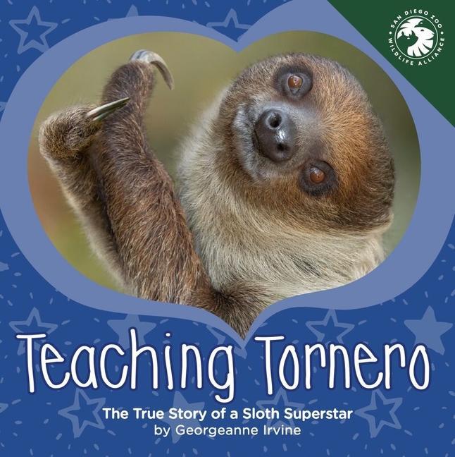 Teaching Tornero