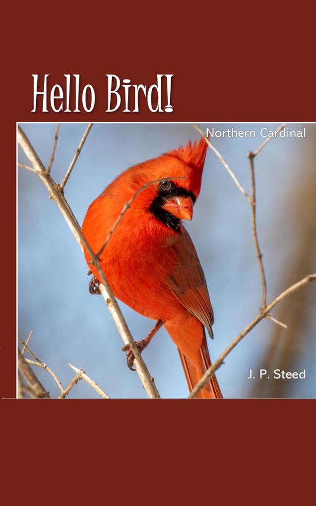 Northern Cardinal (Hello Bird!)