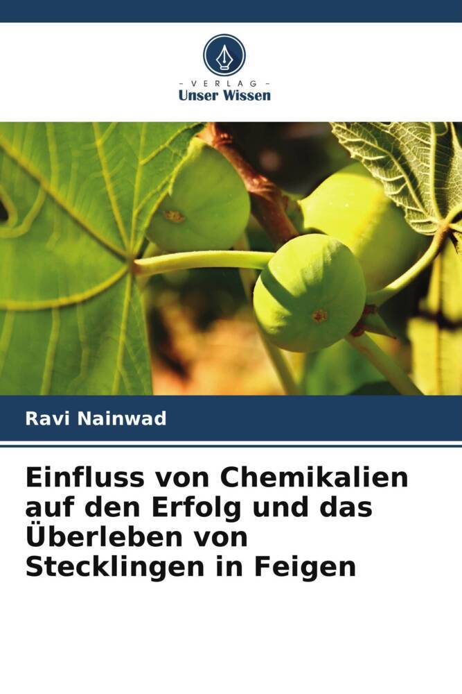 Einfluss von Chemikalien auf den Erfolg und das Überleben von Stecklingen in Feigen