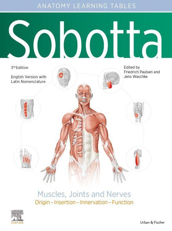 Sobotta Learning Tables of Muscles Joints and Nerves English/Latin