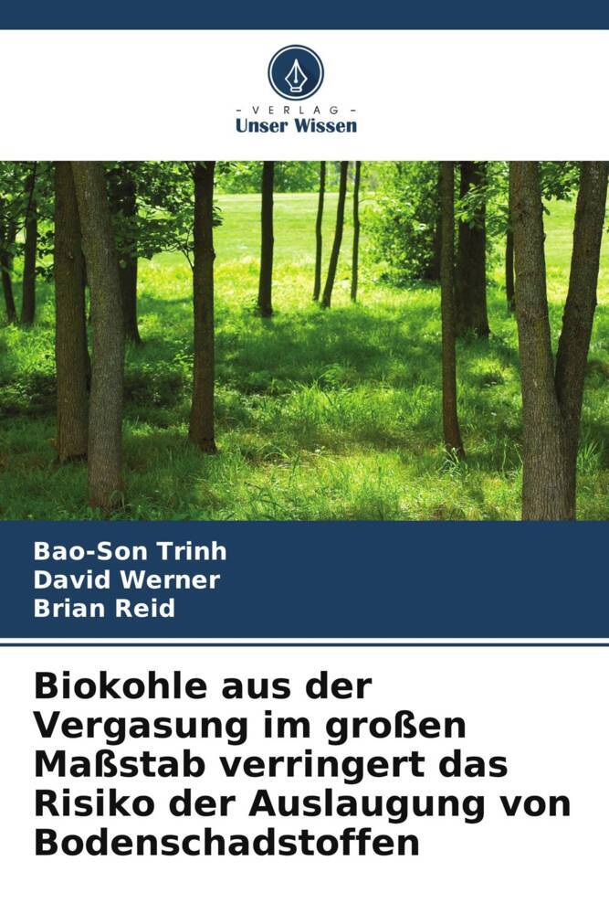 Biokohle aus der Vergasung im großen Maßstab verringert das Risiko der Auslaugung von Bodenschadstoffen