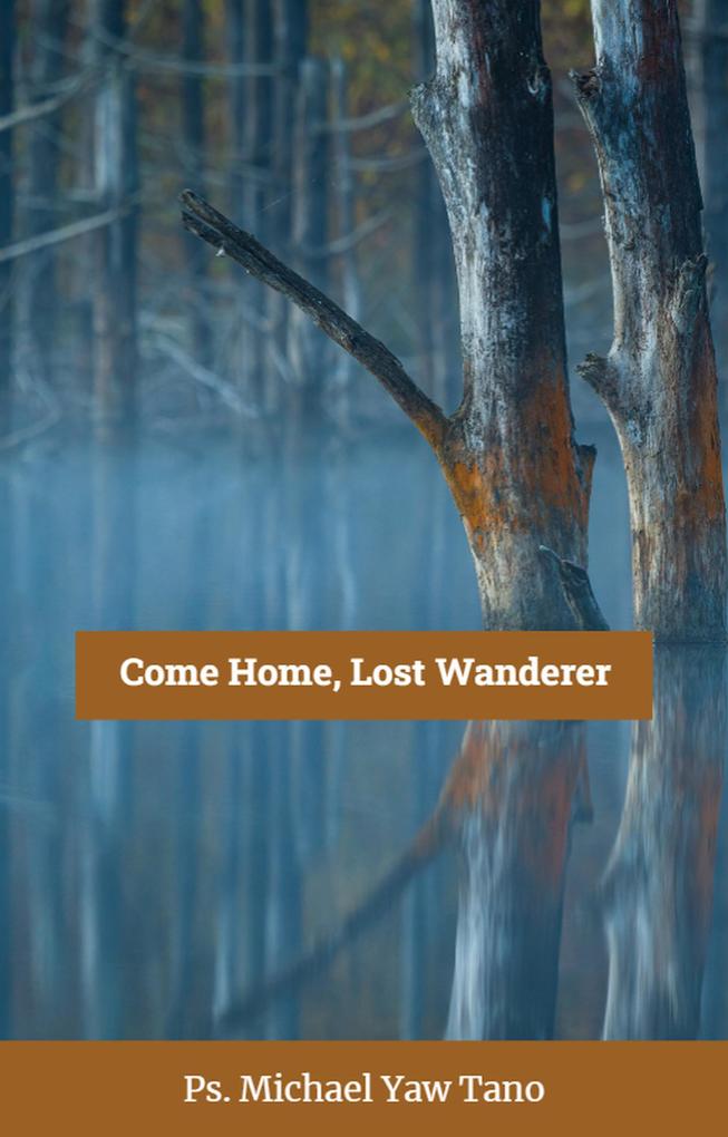 Come Home Lost Wanderer