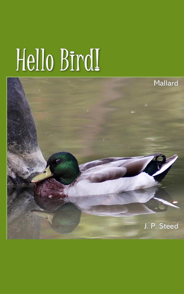 Mallard (Hello Bird!)