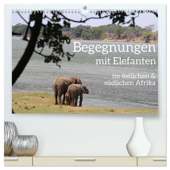 begegnungen - elefanten im südlichen afrika (hochwertiger Premium Wandkalender 2024 DIN A2 quer) Kunstdruck in Hochglanz