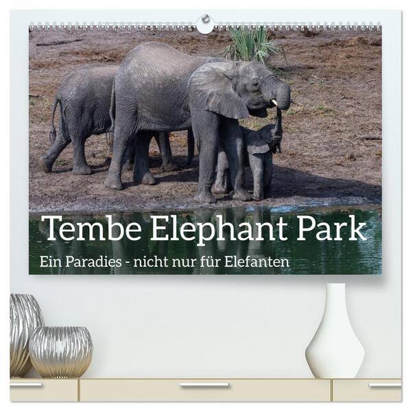 Tembe Elephant Park. Ein Paradies - nicht nur für Elefanten (hochwertiger Premium Wandkalender 2024 DIN A2 quer) Kunstdruck in Hochglanz