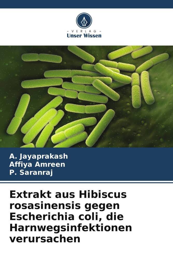 Extrakt aus Hibiscus rosasinensis gegen Escherichia coli die Harnwegsinfektionen verursachen