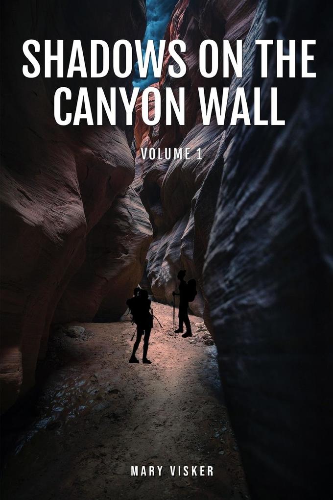 Shadows on the Canyon Wall