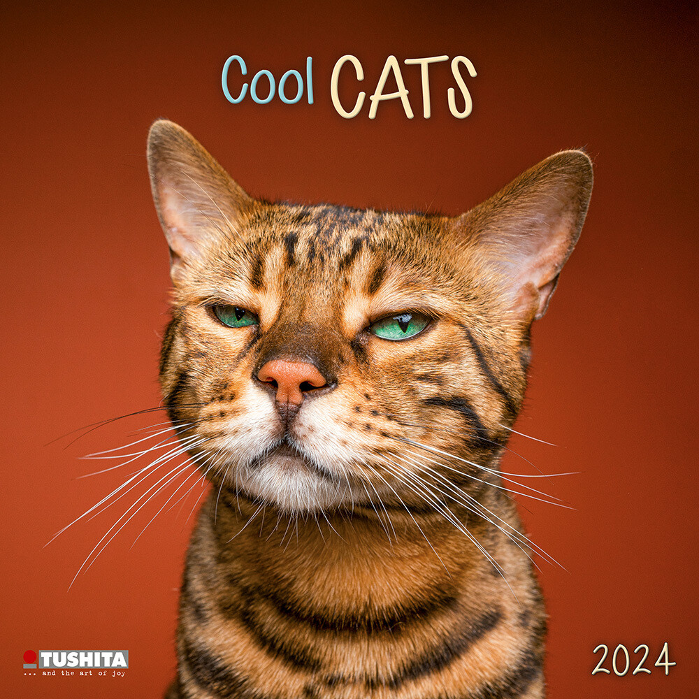Cool Cats 2024