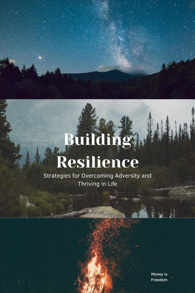 From Setbacks to Success: The Secrets of Resilient People and How to Apply Them to Your Life