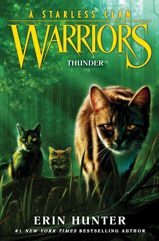 Harper Collins Publ. Usa Warriors, A Starless Clan 04, Thunder