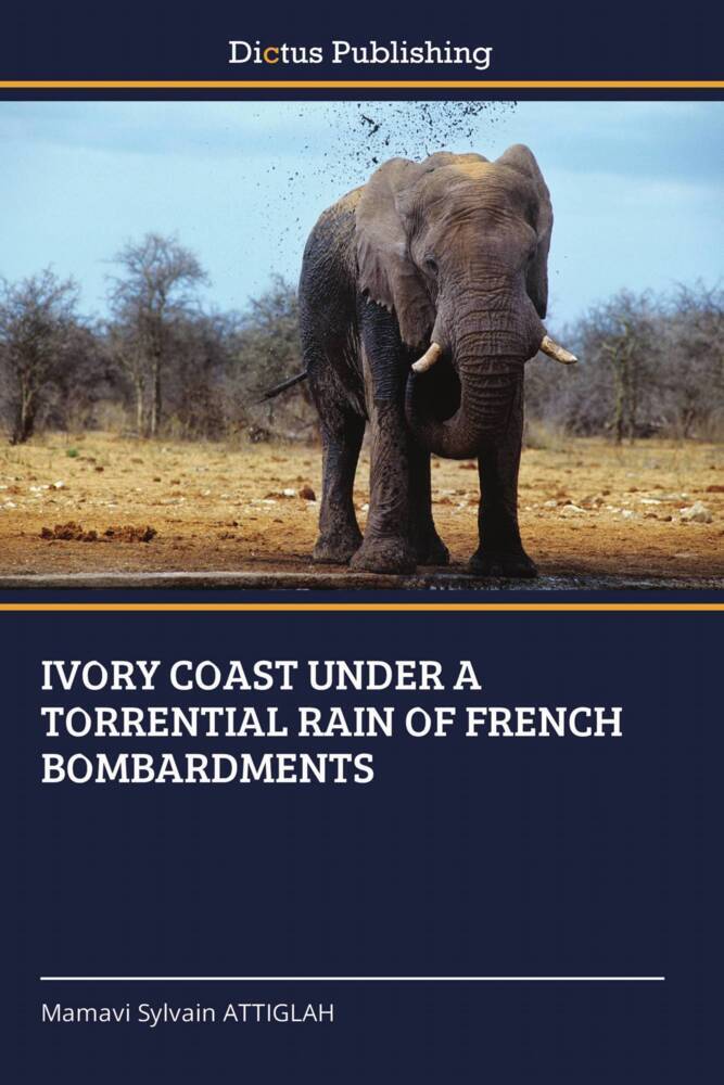 IVORY COAST UNDER A TORRENTIAL RAIN OF FRENCH BOMBARDMENTS