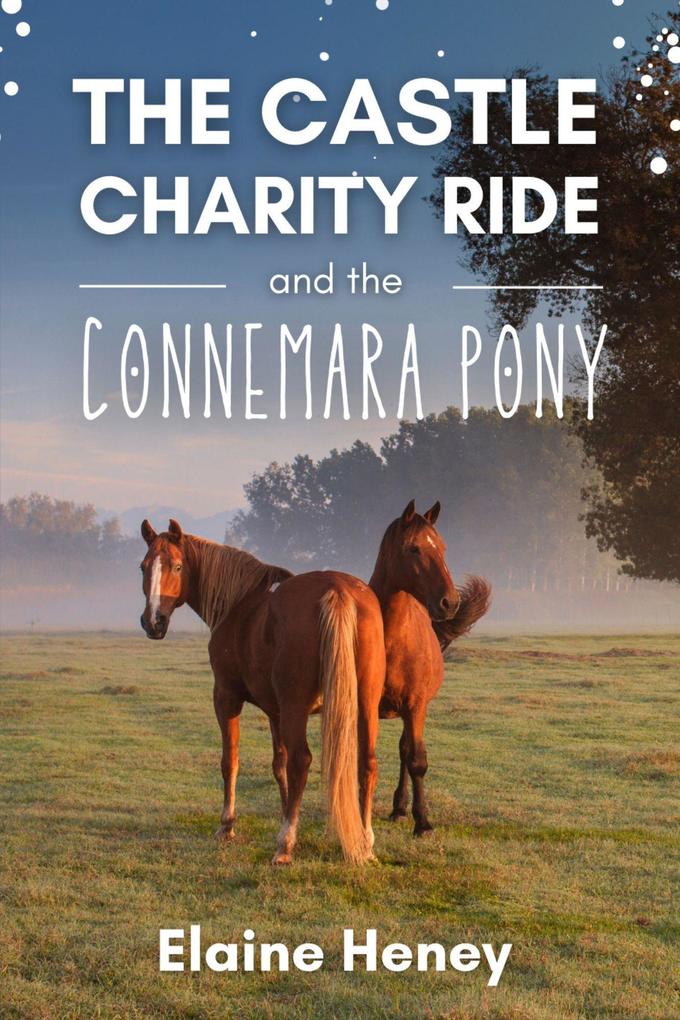 The Castle Charity Ride and the Connemara Pony - The Coral Cove Horses Series (Coral Cove Horse Adventures for Girls and Boys #4)