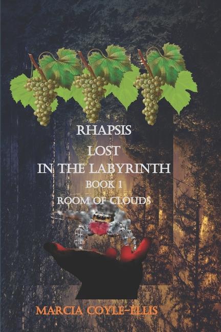 Rhapsis Lost In the Labyrinth: Book 1 Room of Clouds