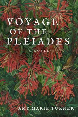 Voyage of the Pleiades