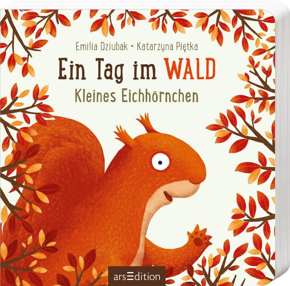 Ars Edition Gmbh Ein Tag Im Wald: Kleines Eichhörnchen