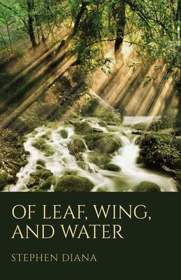 Of Leaf Wing and Water