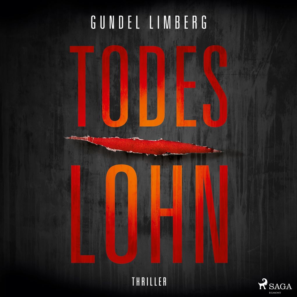 Todeslohn: Thriller