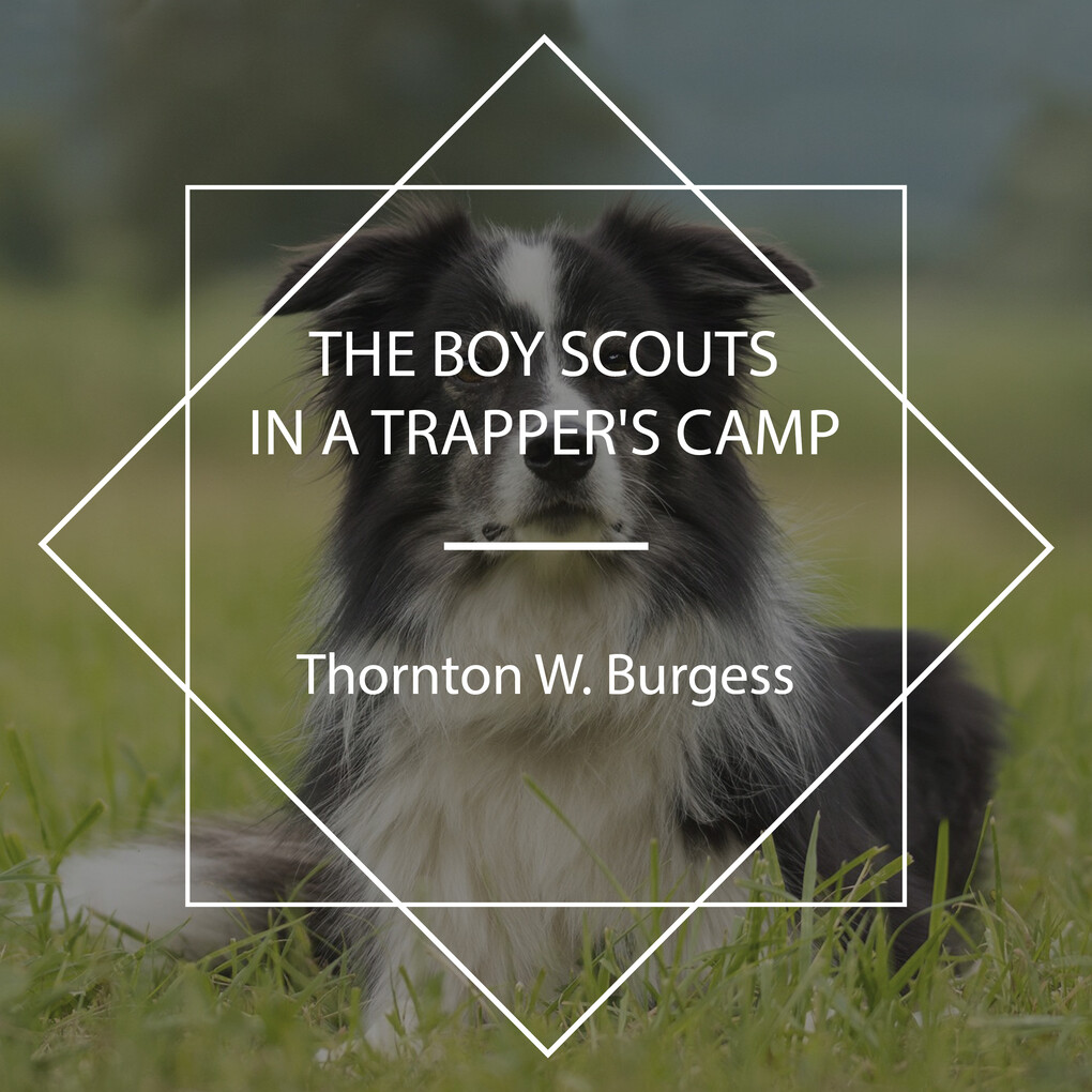 The Boy Scouts in a Trapper‘s Camp