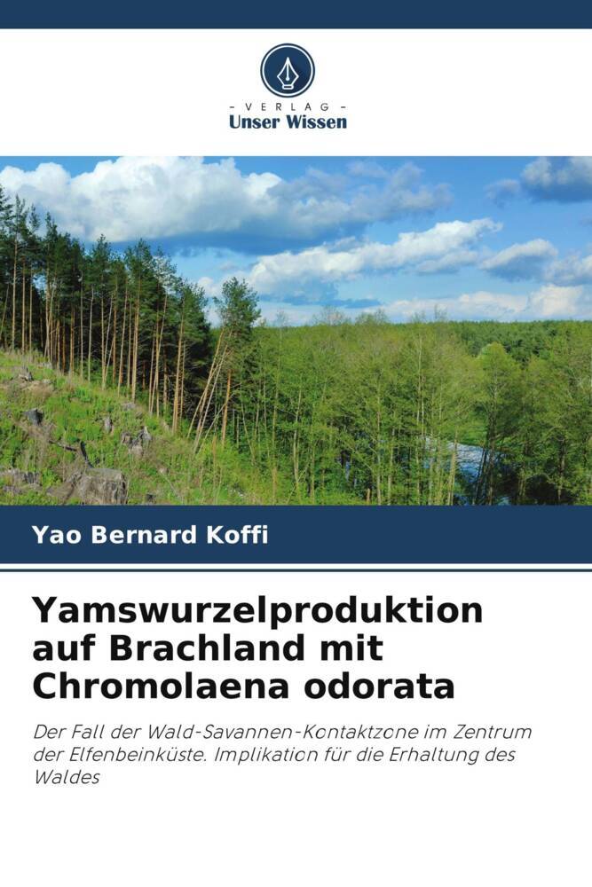 Yamswurzelproduktion auf Brachland mit Chromolaena odorata