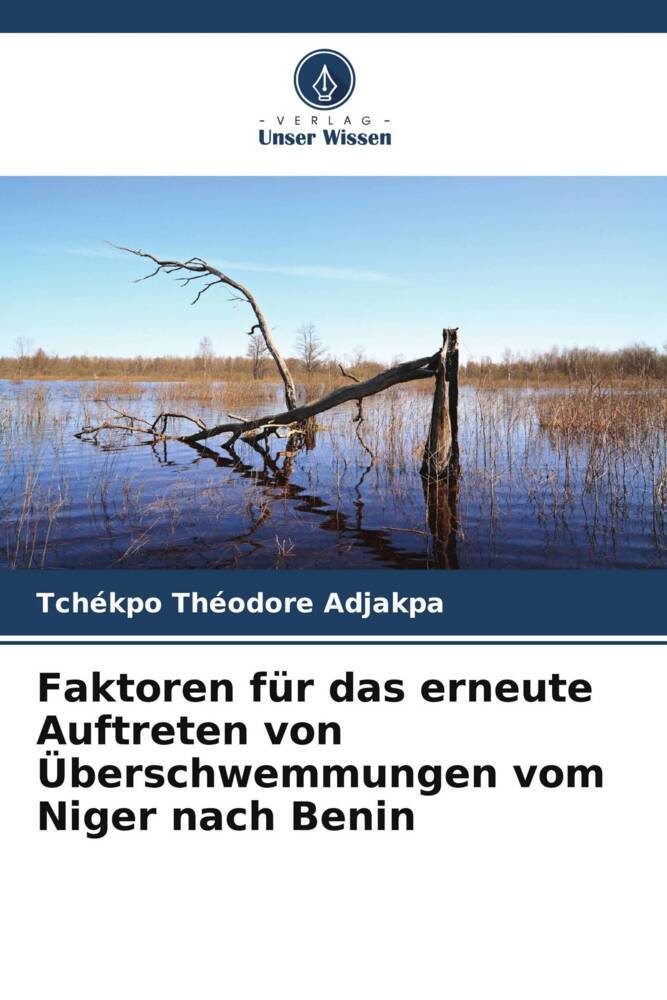 Faktoren für das erneute Auftreten von Überschwemmungen vom Niger nach Benin