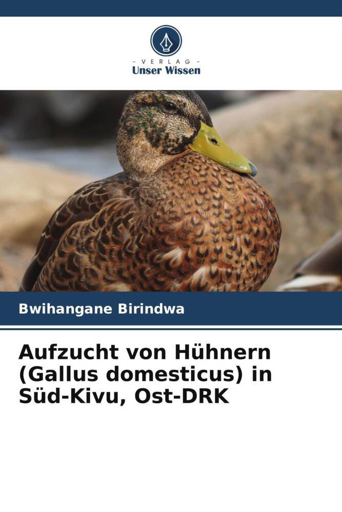 Aufzucht von Hühnern (Gallus domesticus) in Süd-Kivu Ost-DRK