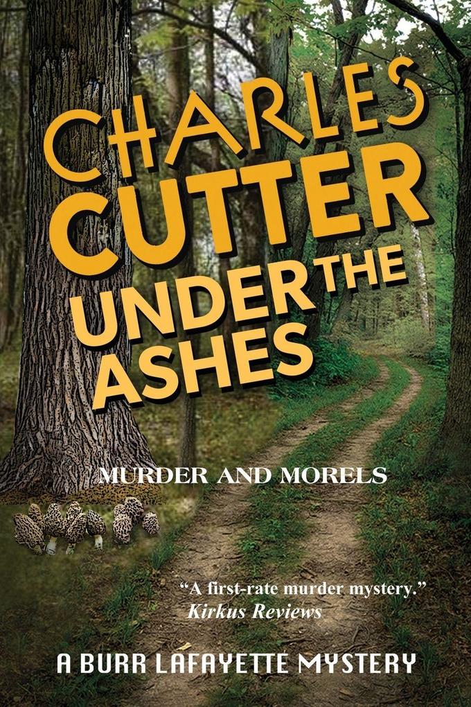 Under the Ashes