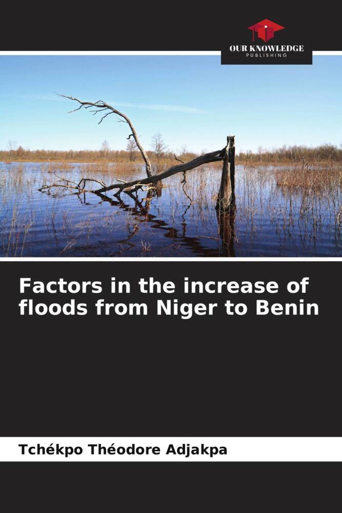 Factors in the increase of floods from Niger to Benin