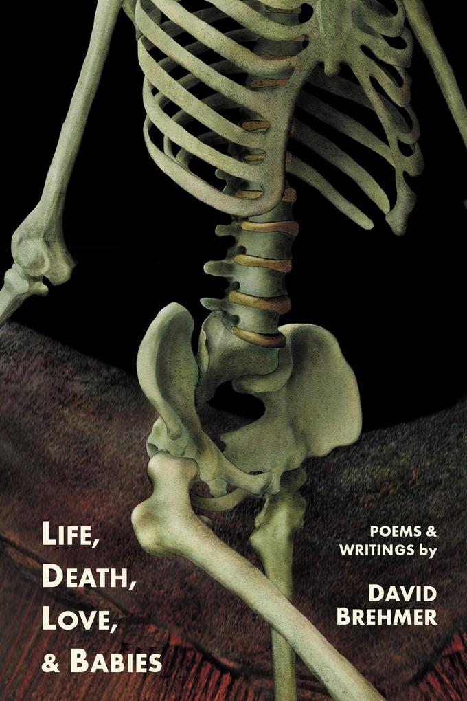 Life Death Love and Babies
