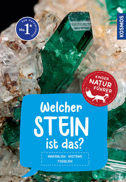 Welcher Stein ist das? Kindernaturführer