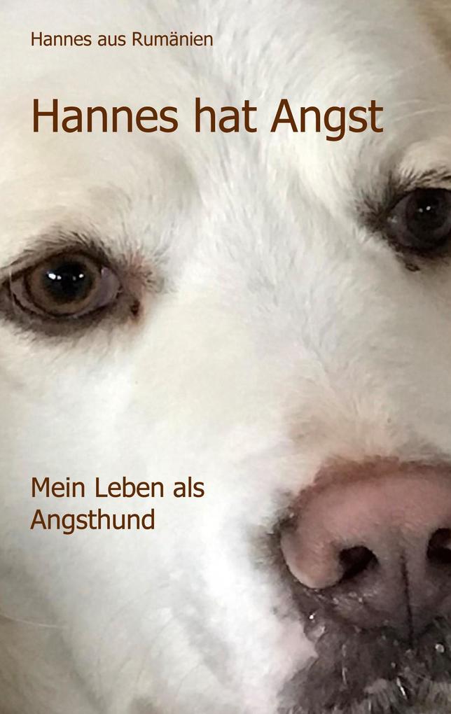 Hannes hat Angst