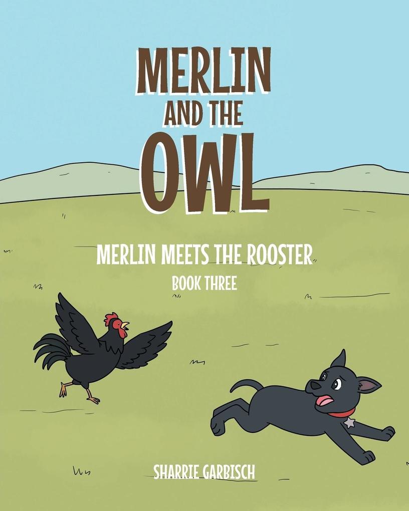 Merlin and the Owl;