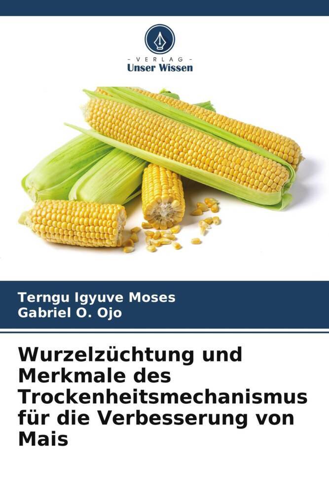 Wurzelzüchtung und Merkmale des Trockenheitsmechanismus für die Verbesserung von Mais