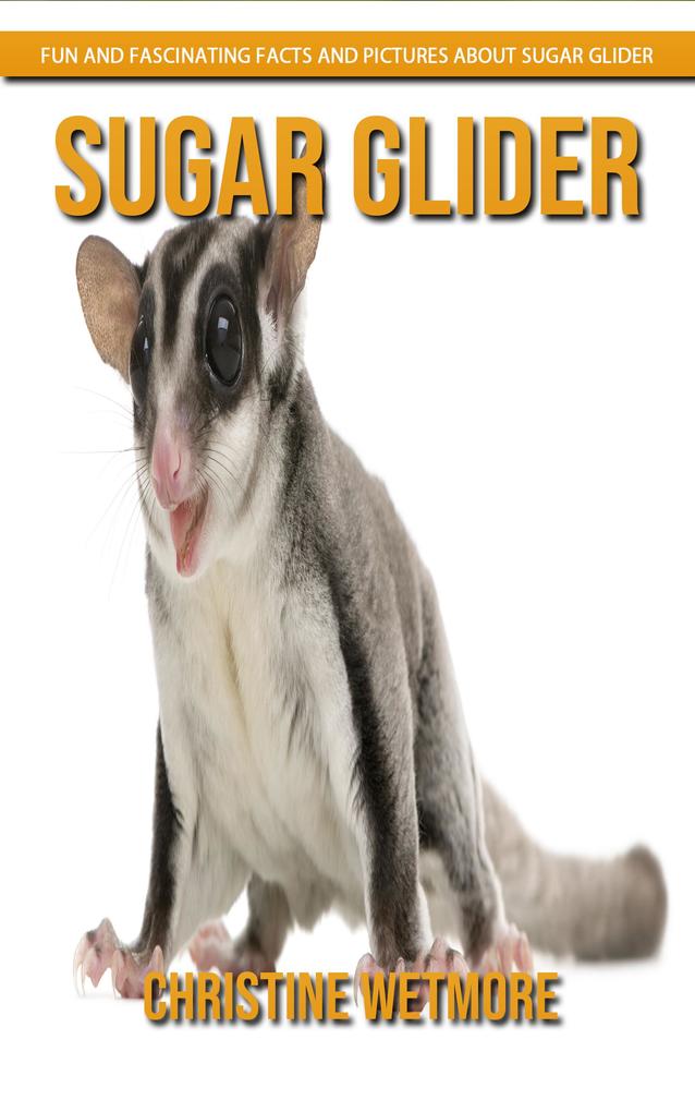 Sugar Glider - Fun and Fascinating Facts and Pictures About Sugar Glider