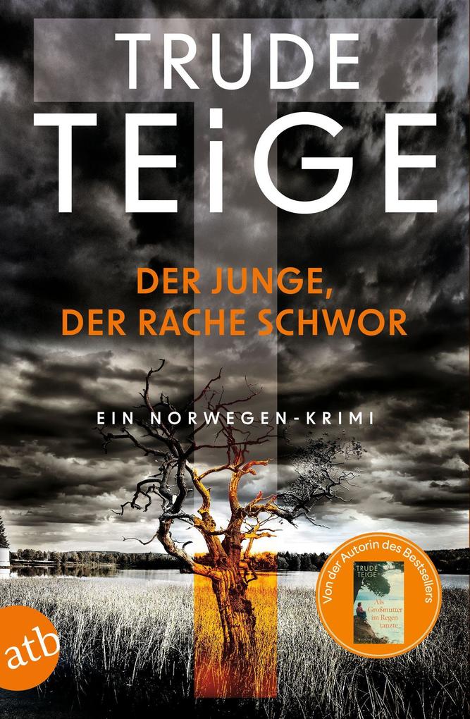 Der Junge der Rache schwor