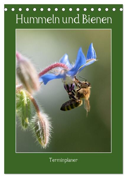 Hummeln und Bienen Terminplaner (Tischkalender 2024 DIN A5 hoch) CALVENDO Monatskalender
