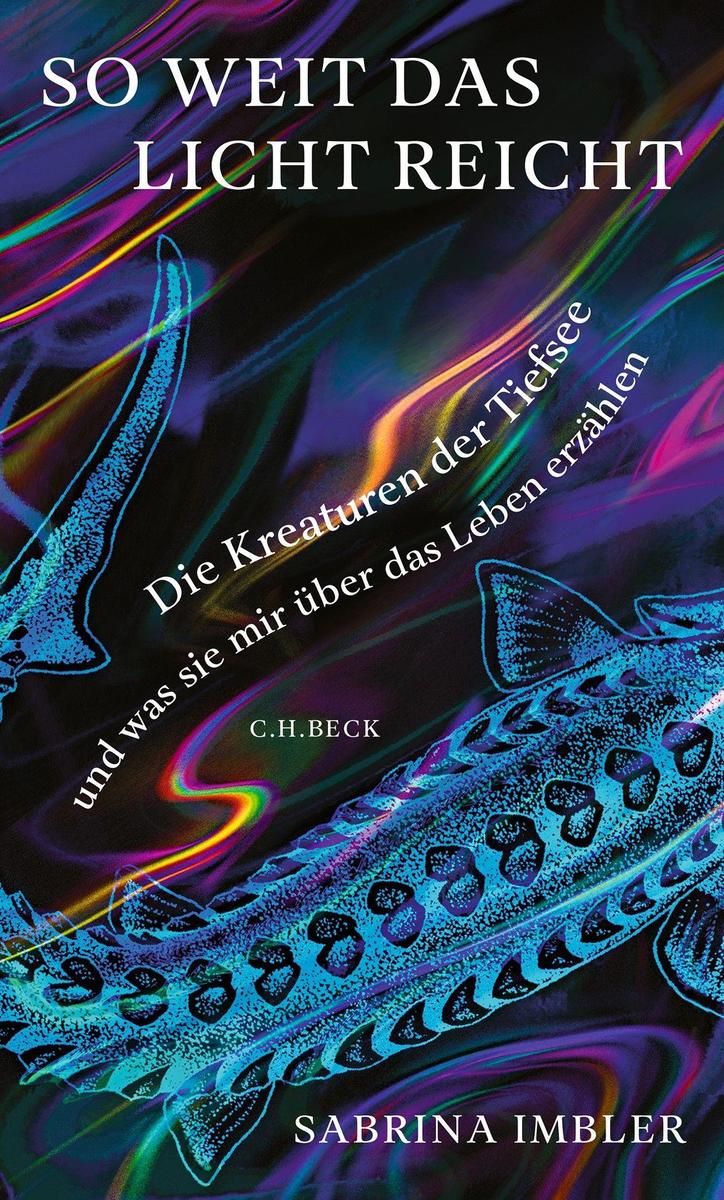 C.h. Beck Licht So Weit Das Reicht - Bild 5