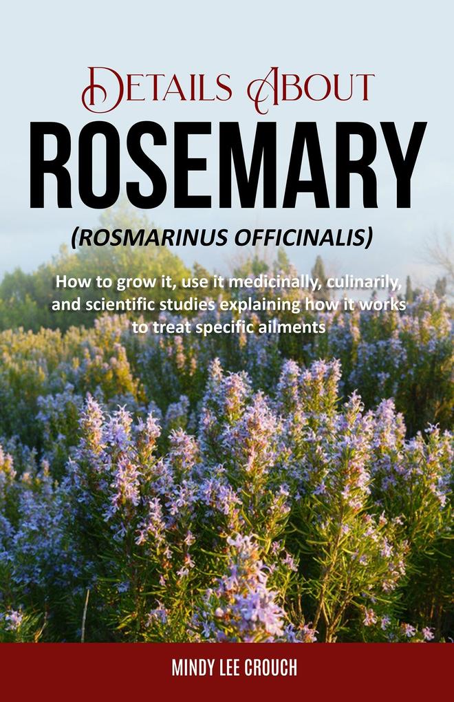 Details About Rosemary (Rosmarinus Officinalis)