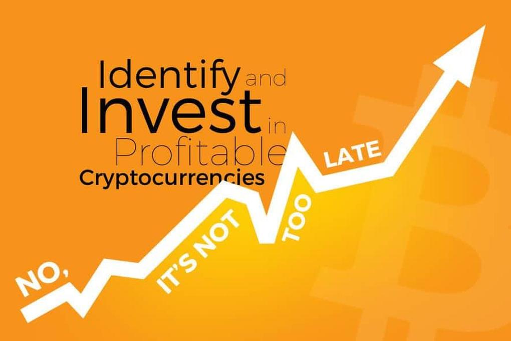 A Beginner‘s Guide to Crypto Investing: Understanding and Investing in Cryptocurrencies