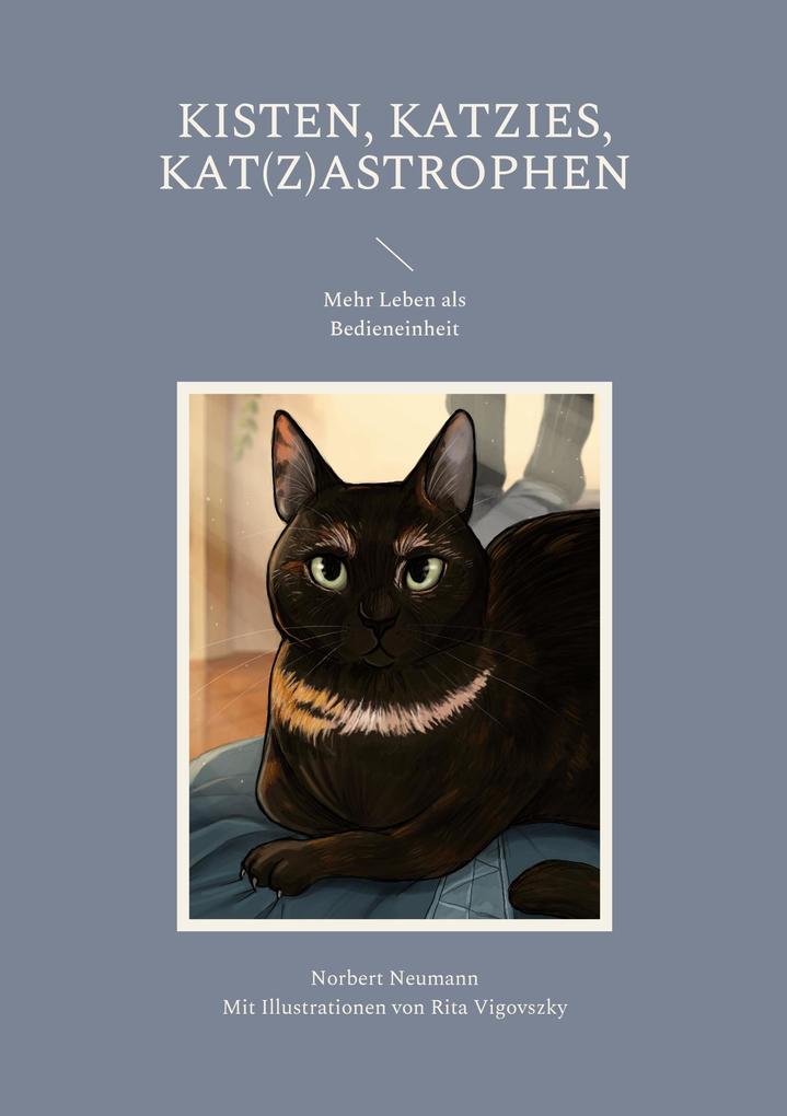 Kisten Katzies Kat(z)astrophen