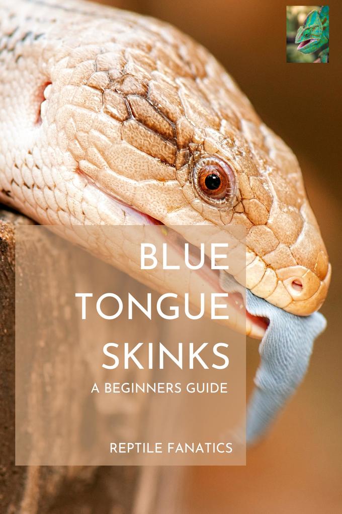 Blue Tongue Skinks: A Beginner‘s Guide to Keeping and Caring for Your New Pet