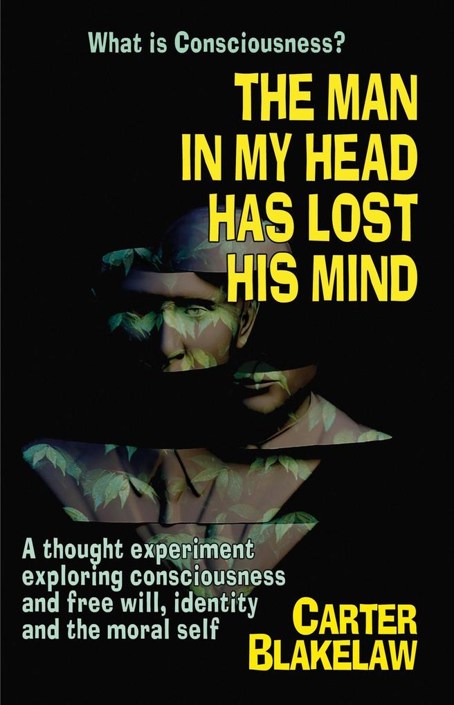 The Man in My Head Has Lost His Mind (What is Consciousness?)