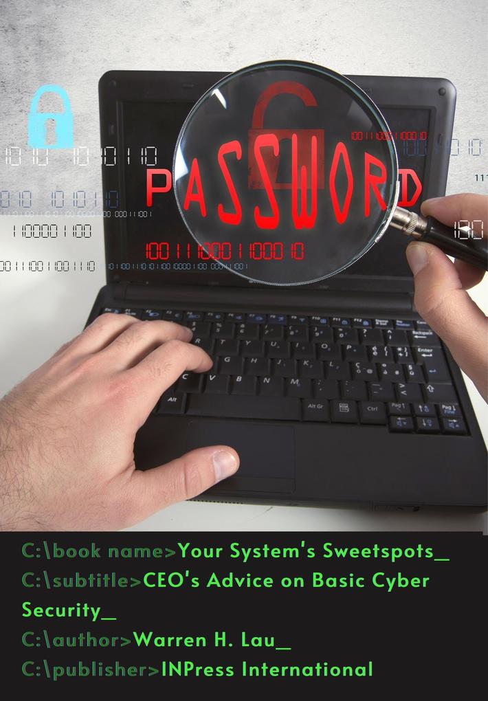 Your System‘s Sweetspots: CEO‘s Advice on Basic Cyber Security (CEO‘s Advice on Computer Science)