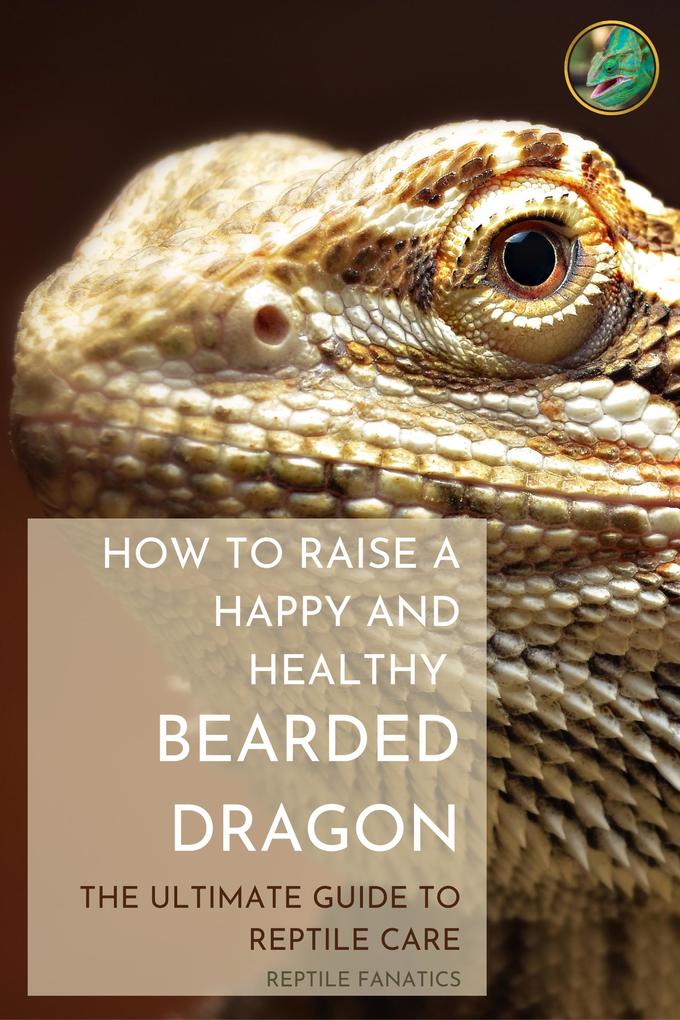How to Raise a Happy and Healthy Bearded Dragon: The Ultimate Guide to Reptile Care