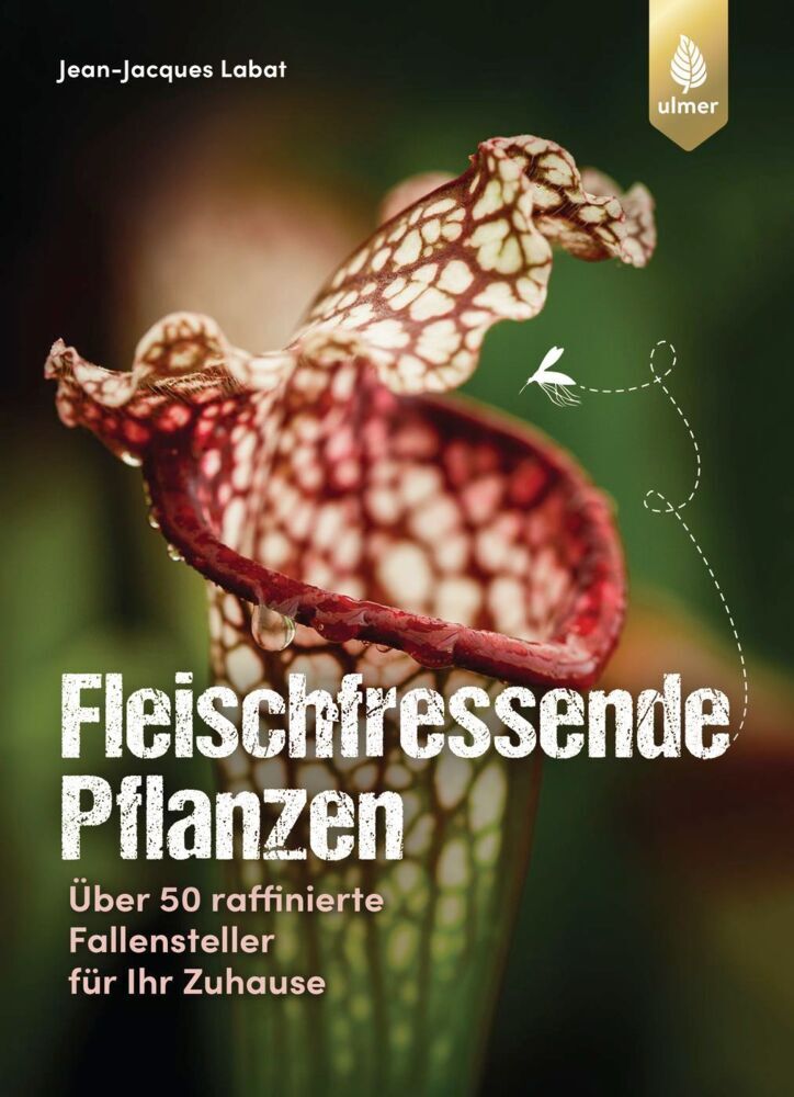 Fleischfressende Pflanzen im radio-today - Shop